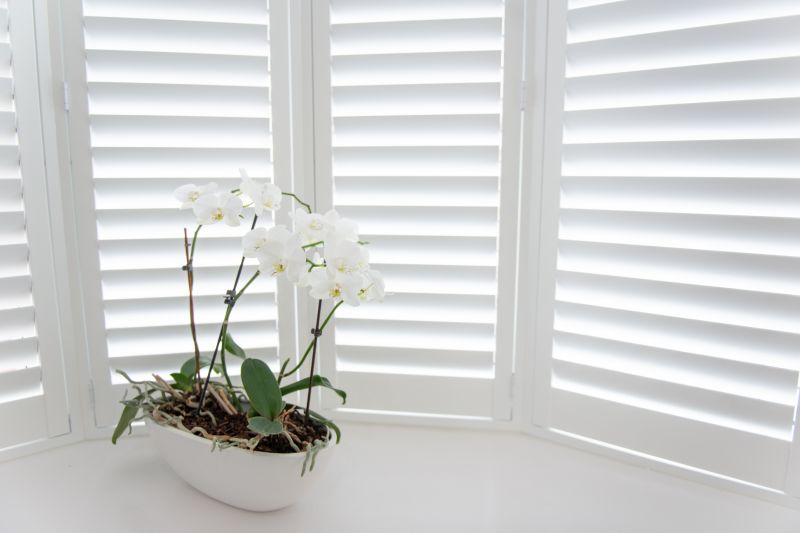 Window Shutters Installation Cost